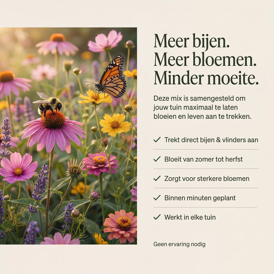 Bijenhotel met Liatrisbollen