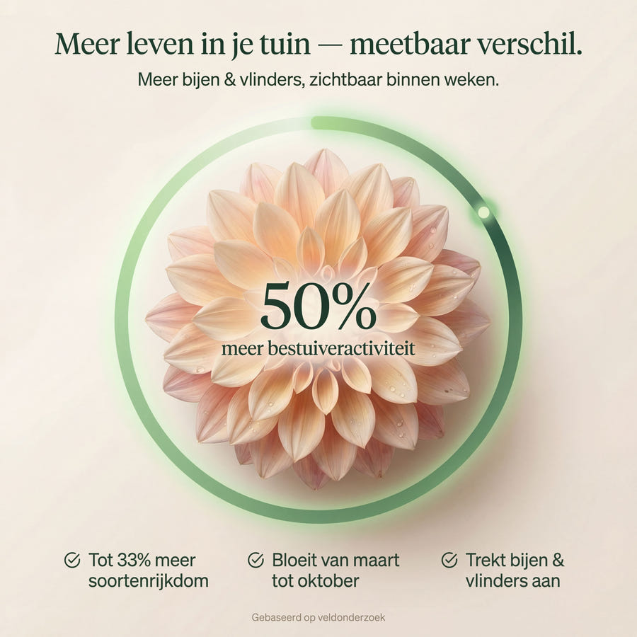 Bijenhotel met Liatrisbollen