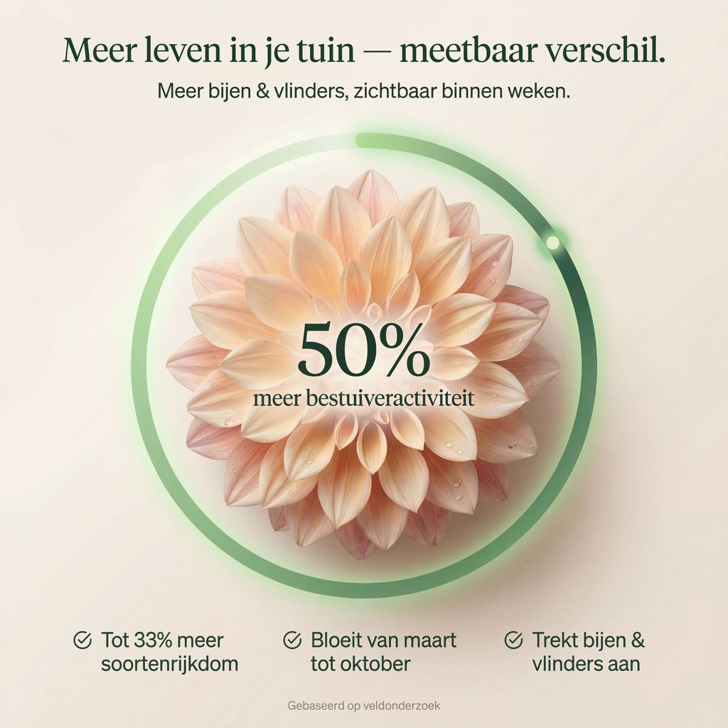 Bijenhotel met Freesiabollen