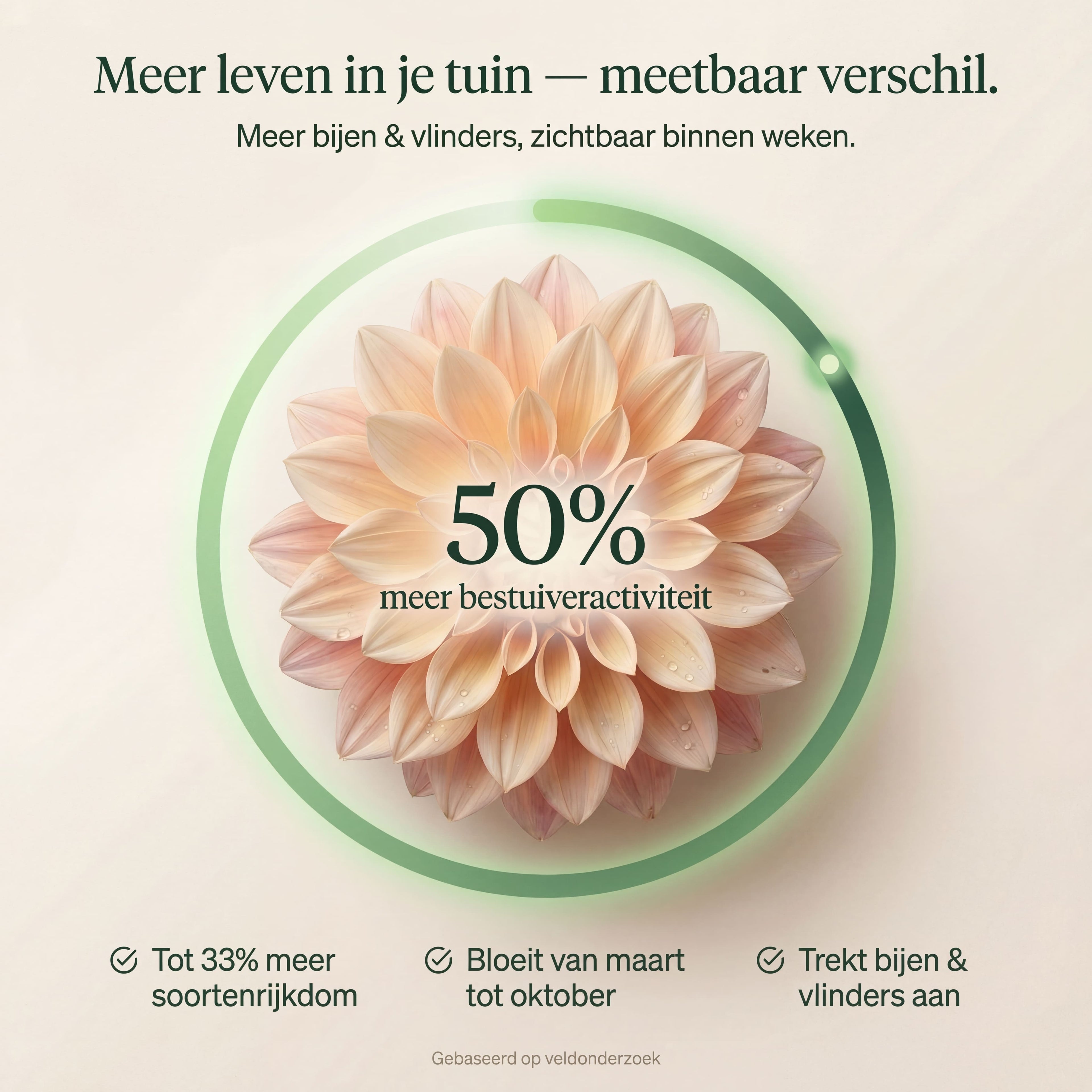 Balkonpakket voor bestuivers