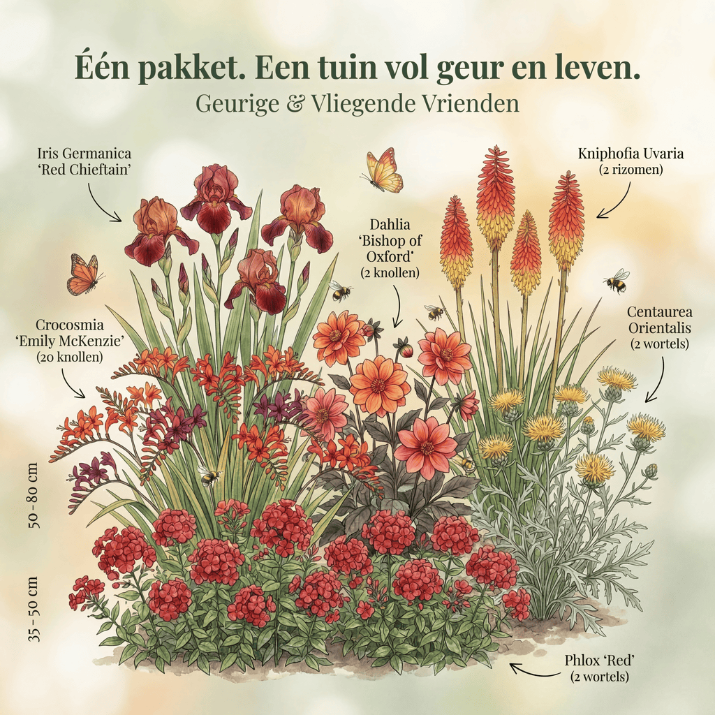 Collectie Geurende & Vliegende Vriendjes