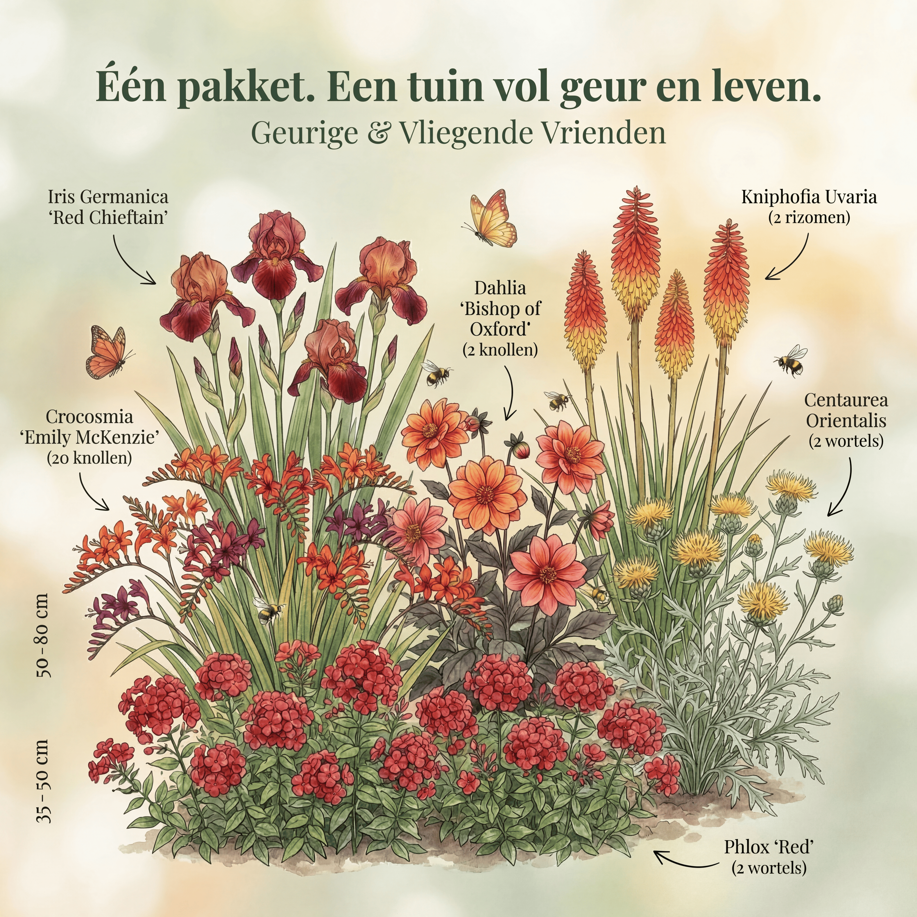 Collectie Geurende & Vliegende Vriendjes