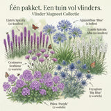 Vlinder magneet mix