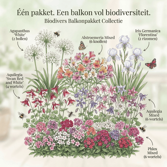 Balkonpakket voor bestuivers